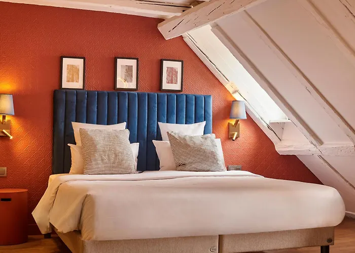 Hotel De L'Europe By Happyculture Straatsburg