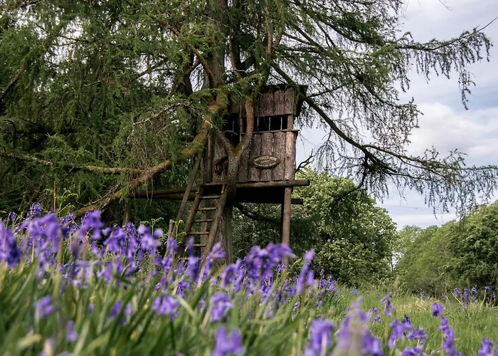 Wild Boar Estate Hotel Bowness-on-Windermere