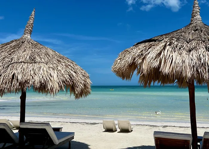Hotel Palapas Del Sol à Holbox