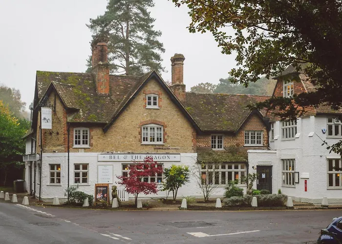 Bel And The Dragon-Churt Farnham 