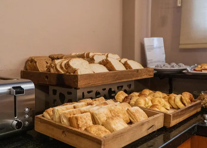 Ritz Hotel Mendoza