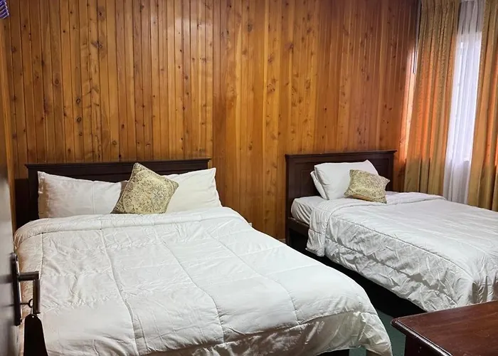 Single Tree Hotel