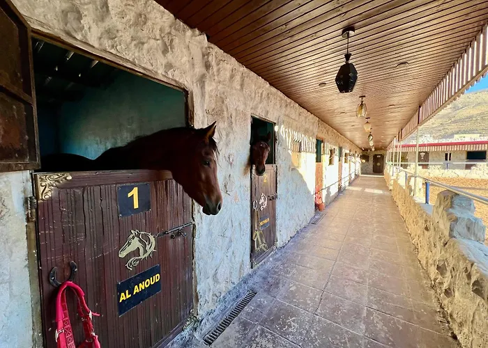 Petra Royal Ranch