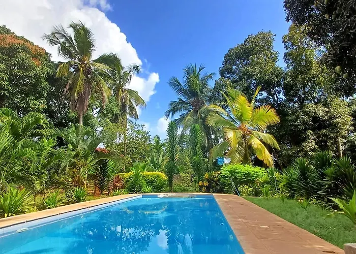 Cycad Palm Diani