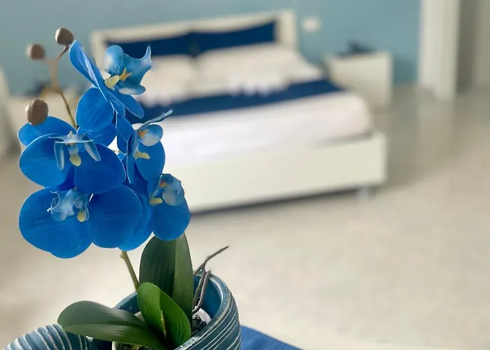 B&B La Cycas San Vito Lo Capo