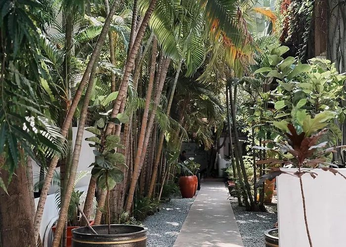 Maison 557 Siem Reap
