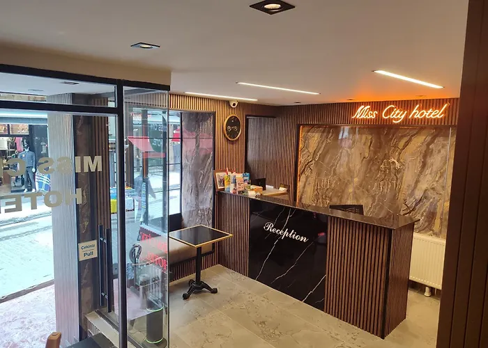 Miss City Hotel Taksim Istanboel