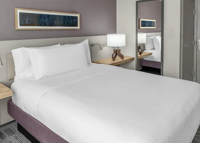 Hilton Garden Inn Queens Jfk New York