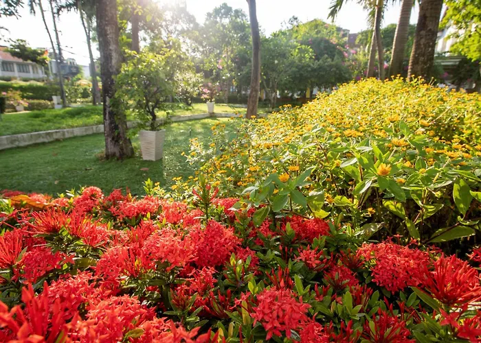 ÊMM Hotel Hội An