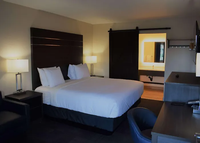 Travelodge By Wyndham Santa Rosa Wine Country