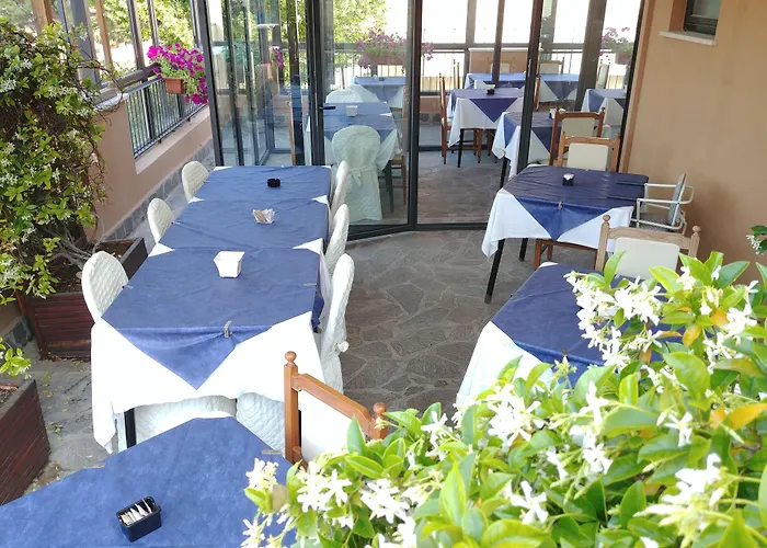 Hotel Memory Rimini