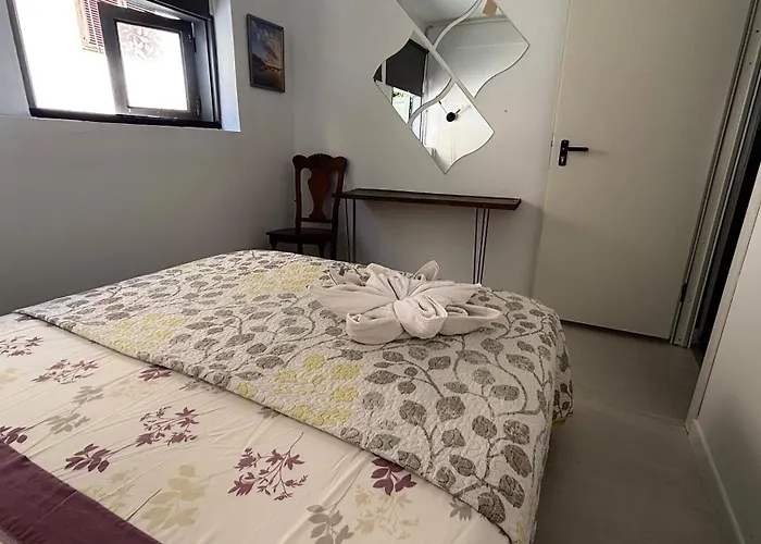 Tenerife Experience Hostel Santa-Cruz de Ténérife