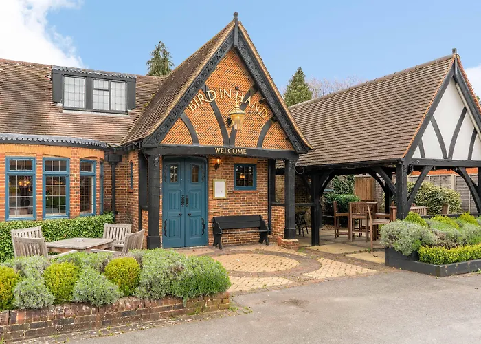 The Bird In Hand Maidenhead
