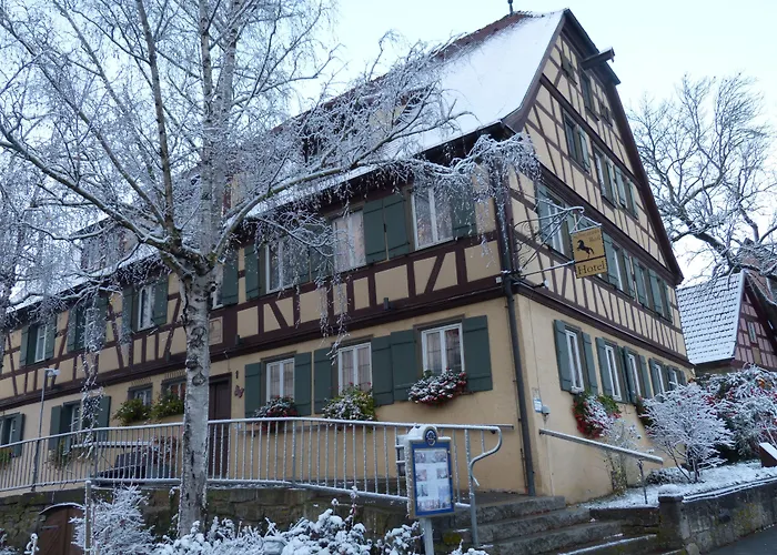 Landhotel Schwarzes Ross Steinsfeld