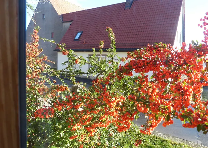 Landhotel Schwarzes Ross Steinsfeld