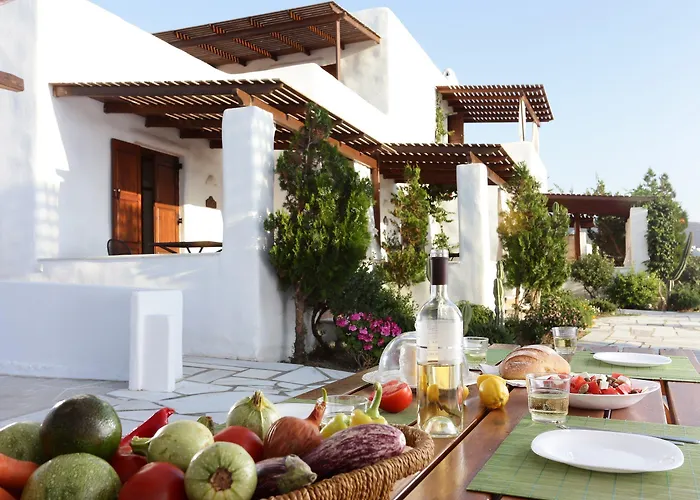 Aparthotel 9 Muses - Paros