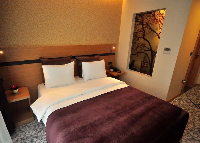Hotel Osaka Airport Estambul