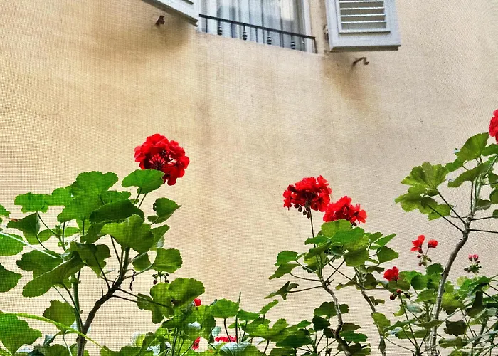 Hotel Cestelli Florenz