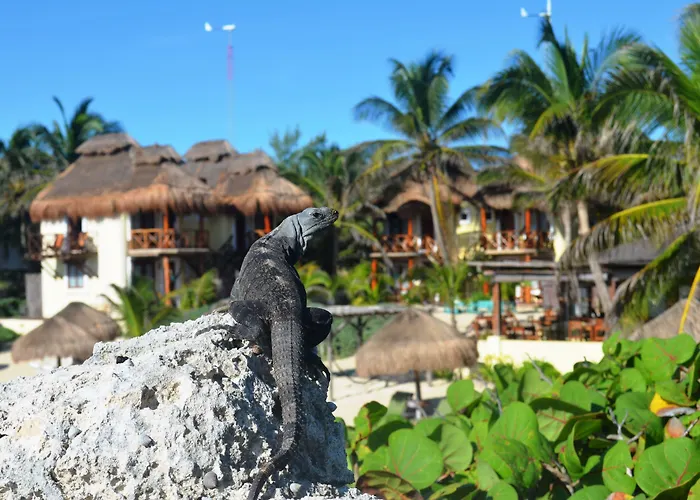 Hotel Piedra Escondida Tulum Pueblo