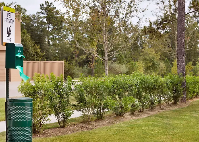 Home2 Suites By Hilton Shenandoah The Woodlands