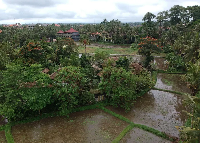 Byasa Ubud