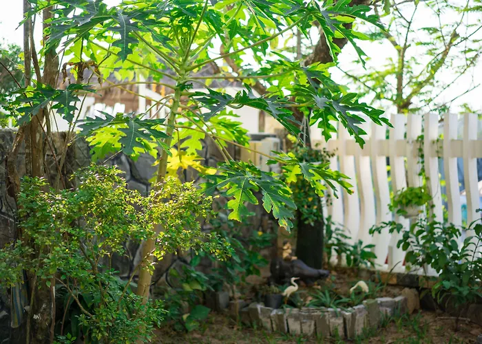 An Bang Beach Nature Homestay