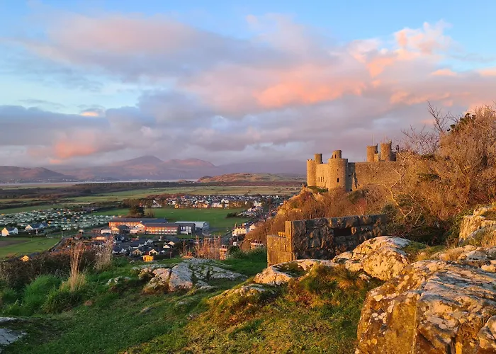 Y Branwen Restaurant & Rooms - Adult Only And Dog Friendly
