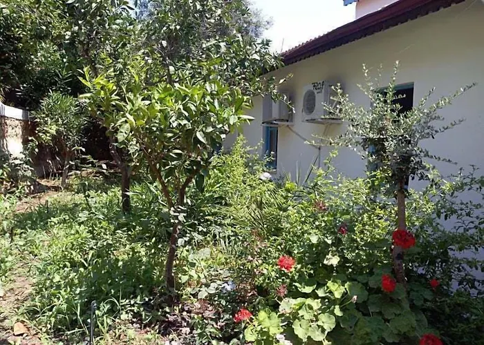 Kas Lemon Hotel