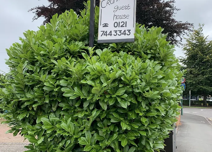 Cranmore Guest House
