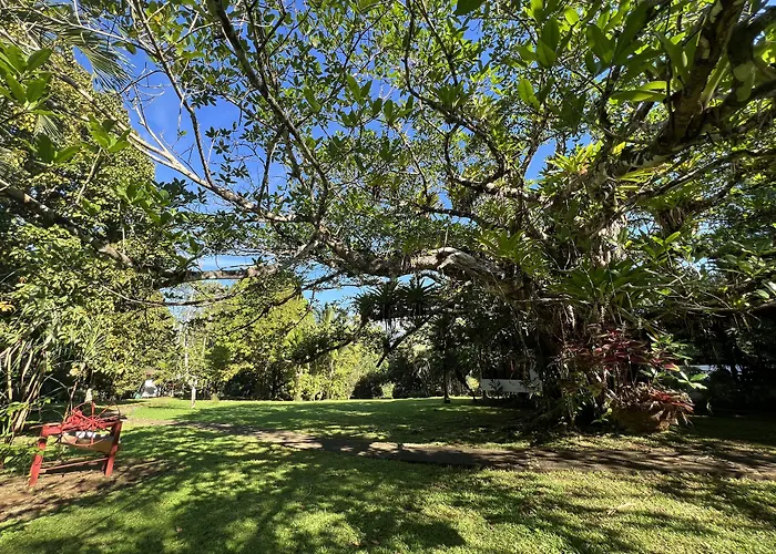 Blue Banyan Inn