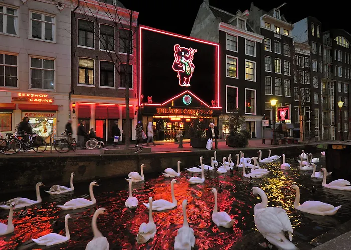 Hotel & Bar Royal Taste Amsterdam