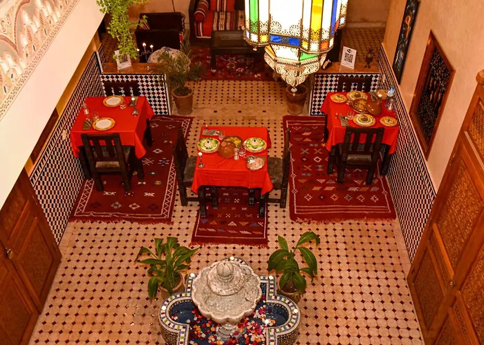 Riad ZANOUBA