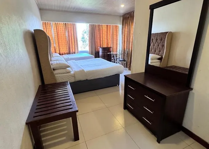Single Tree Hotel