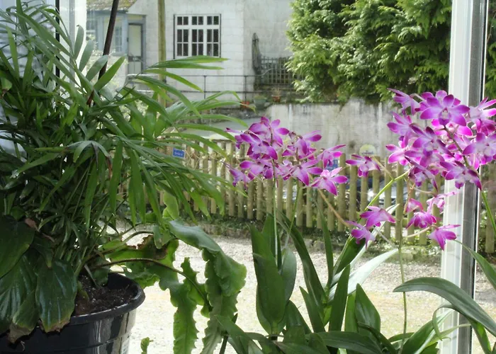 Penryn House Hotel Polperro