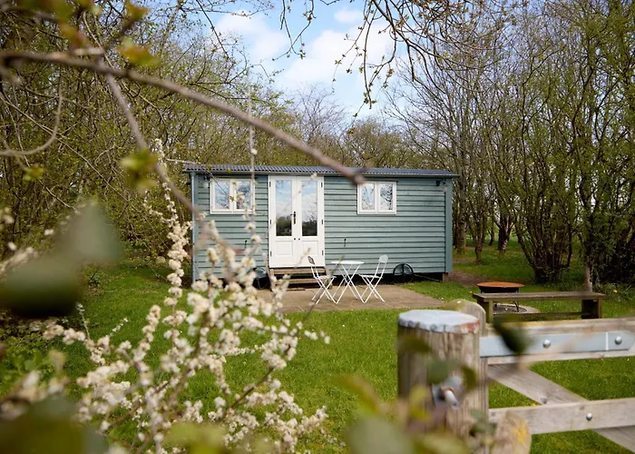 Great Ashley Farm Bed And Breakfast & Shepherds Huts