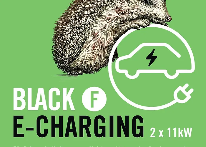 Black F House - Serviced Apartments