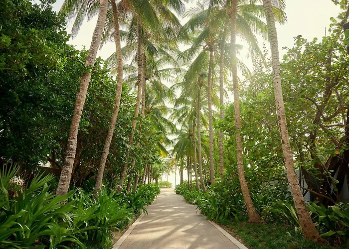 Hotel Greystone - Adults Only Miami Beach