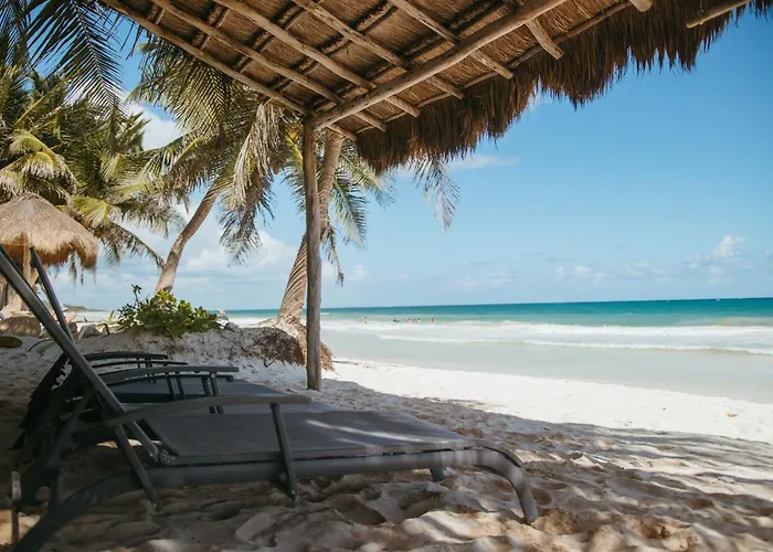 Olas Tulum