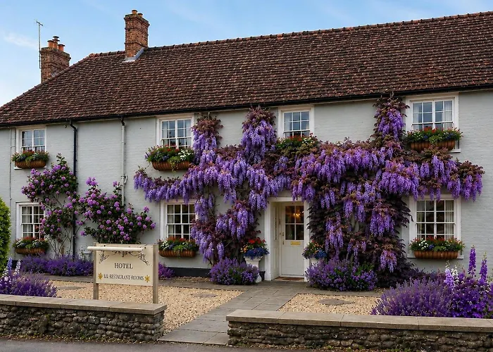 Meryan House Hotel