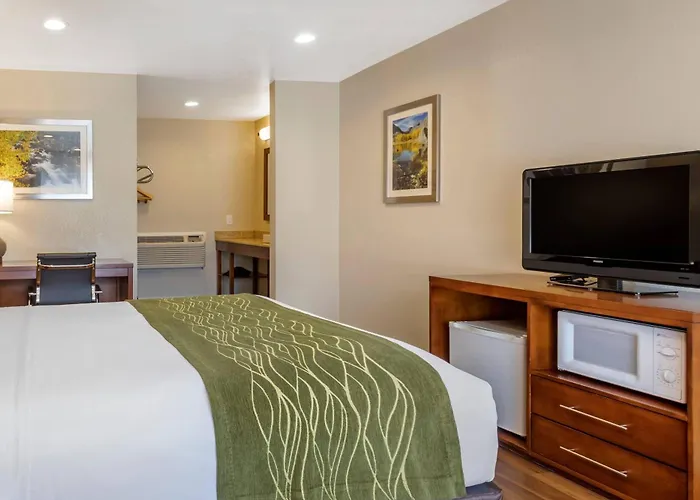Comfort Inn Bishop