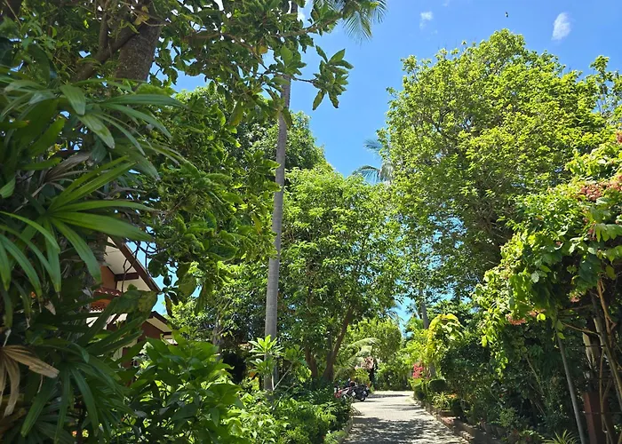 Mira Mare Resort Koh Samui Lamai Beach 