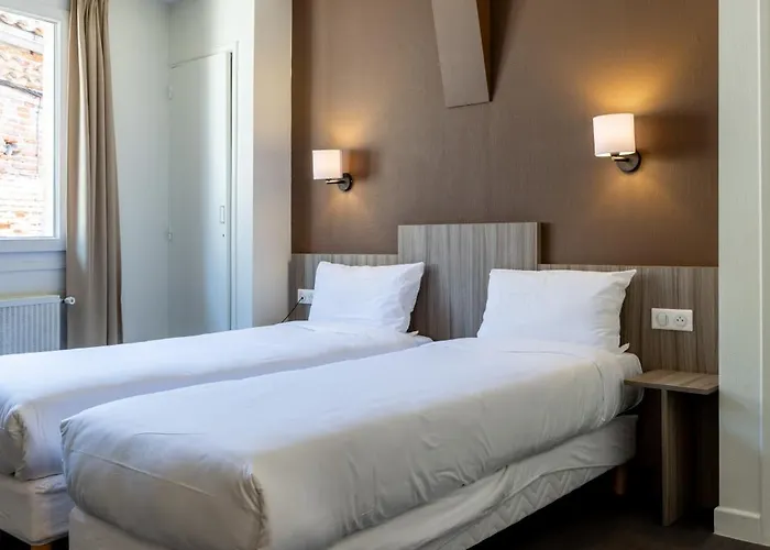 Hotel Du Vigan Albi