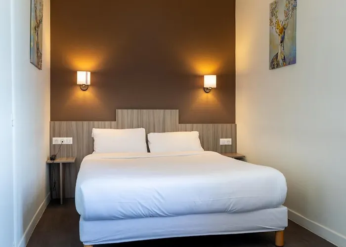 Hotel Du Vigan Albi