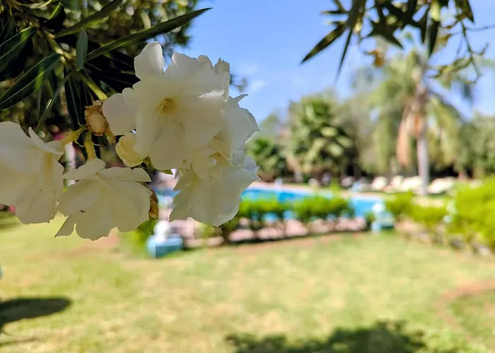 Las Palmeras Guest House