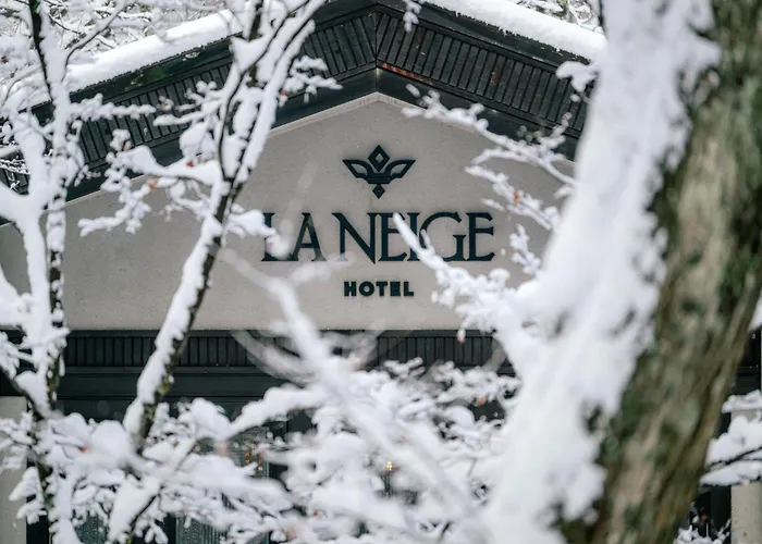 Hotel La Neige