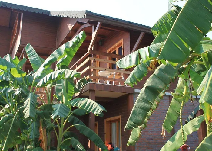 Guesthouse Vila Druri Dhërmi