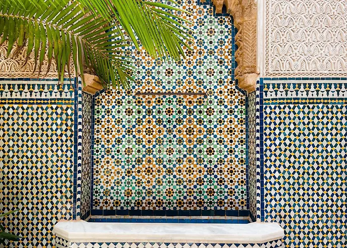 Riad Zyo