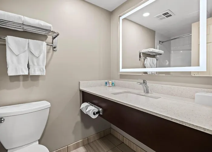Comfort Inn & Suites Airport South