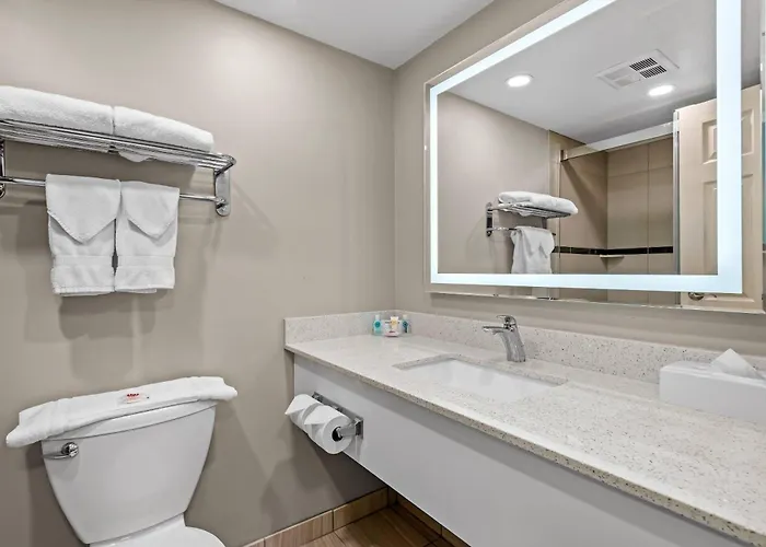 Comfort Inn & Suites Airport South
