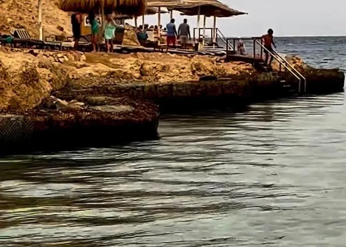 Hotel Domina Coral Bay Oasis Sharm el Sheikh
